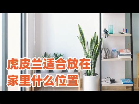 房間可以放照片嗎|在家中擺放照片有哪些風水講究